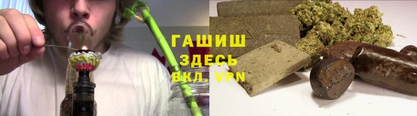 ГАЛЛЮЦИНОГЕННЫЕ ГРИБЫ Белокуриха