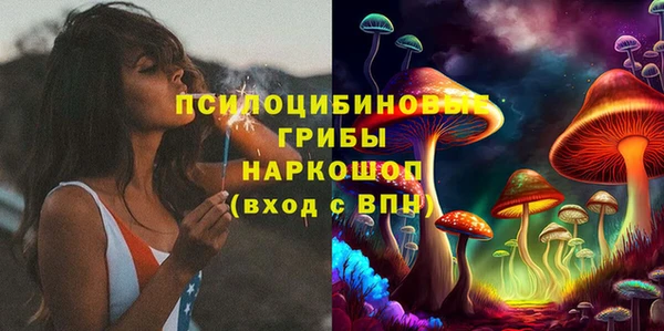 ГАЛЛЮЦИНОГЕННЫЕ ГРИБЫ Белокуриха