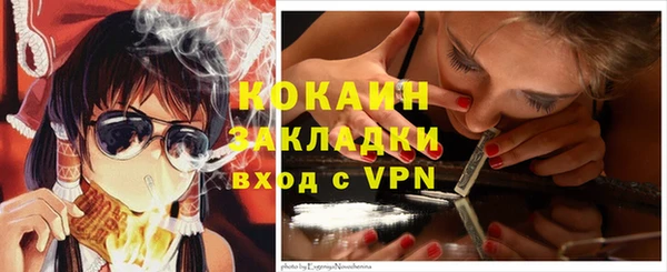 ГАЛЛЮЦИНОГЕННЫЕ ГРИБЫ Белокуриха