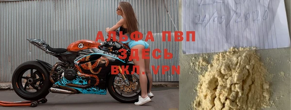 СК Снежногорск