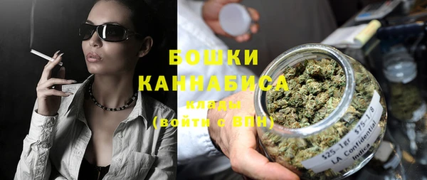 ГАЛЛЮЦИНОГЕННЫЕ ГРИБЫ Белокуриха