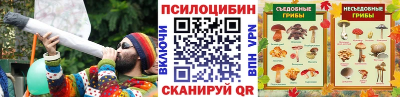 Псилоцибиновые грибы MAGIC MUSHROOMS  Мариинский Посад 