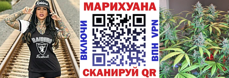 где найти   Мариинский Посад  Каннабис SATIVA & INDICA 